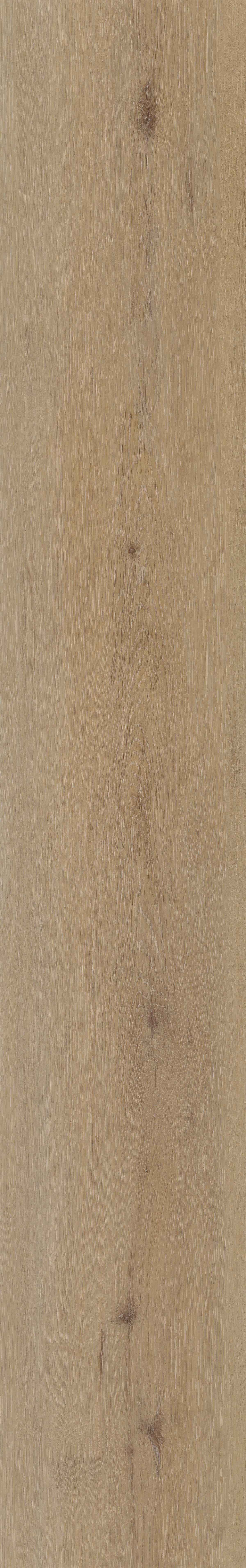 Belakos -  Attico 800 - Afbeelding 3