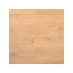 Douwes Dekker - Plank Dragon