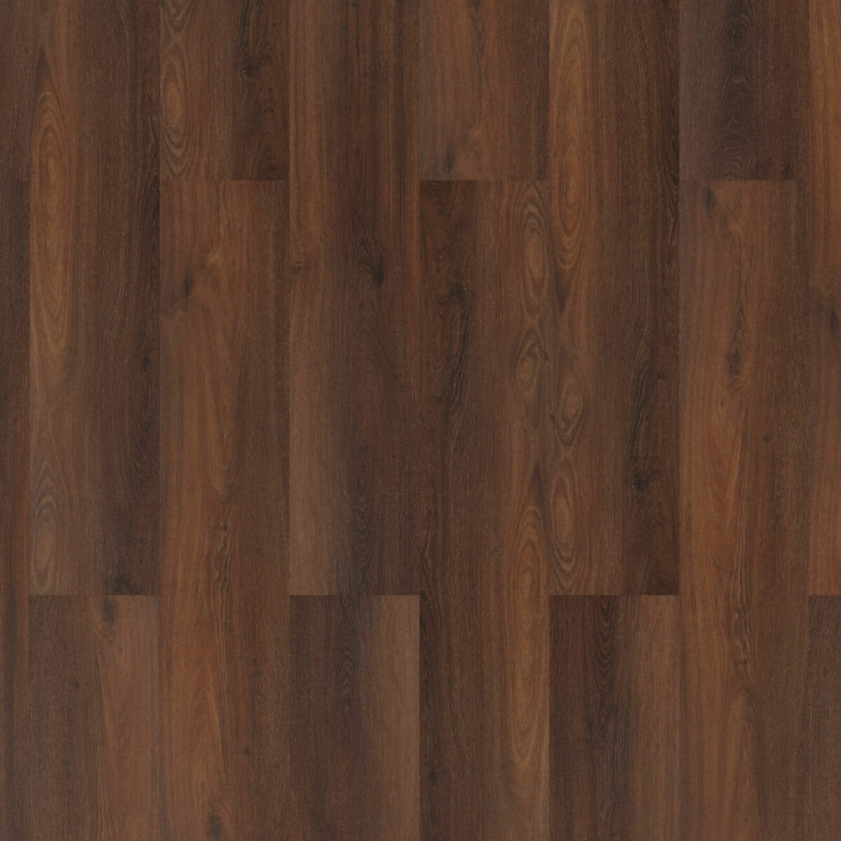 ROOM5 - Executive Gold - Afbeelding 2