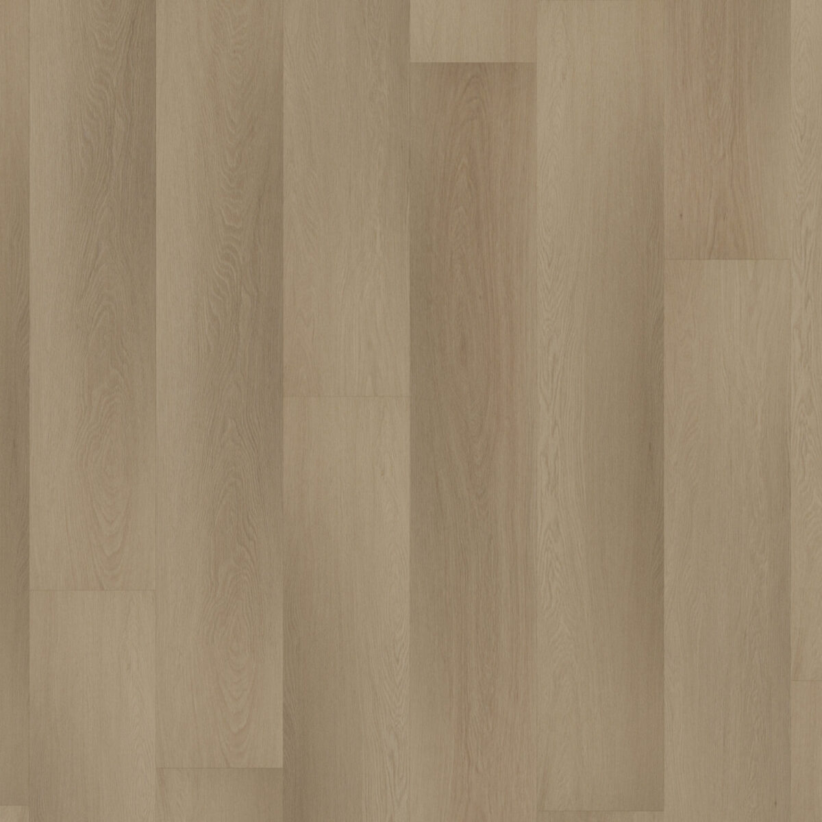 ROOM5 - Charming Suite - Afbeelding 2