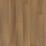 ROOM5 - Western Hemlock