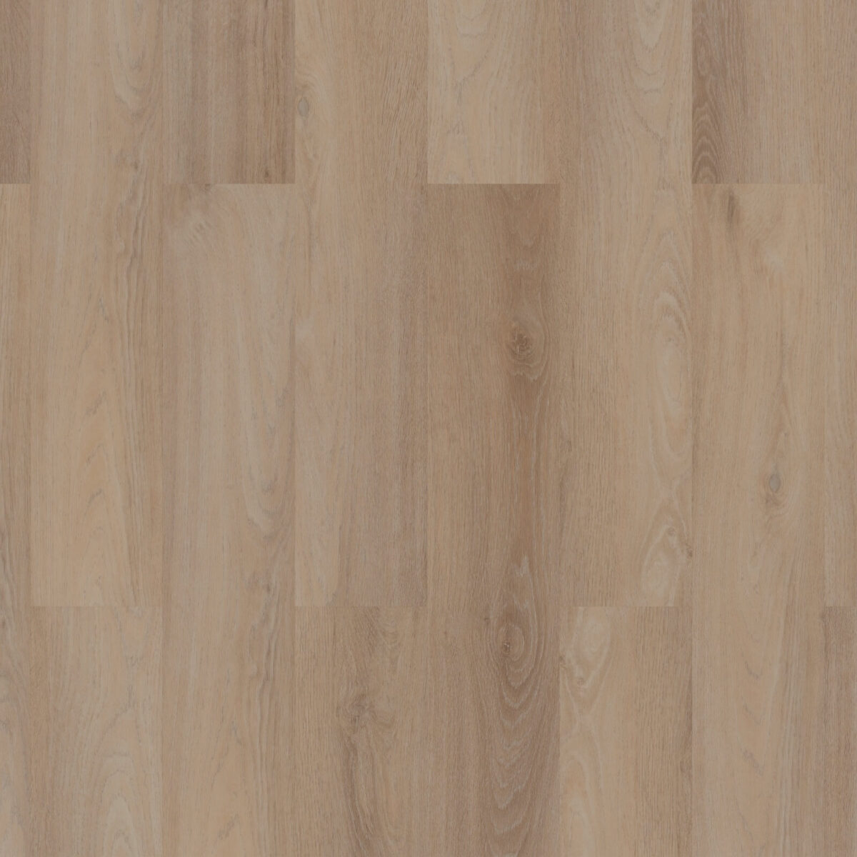 ROOM5 - Royal Champagne - Afbeelding 2